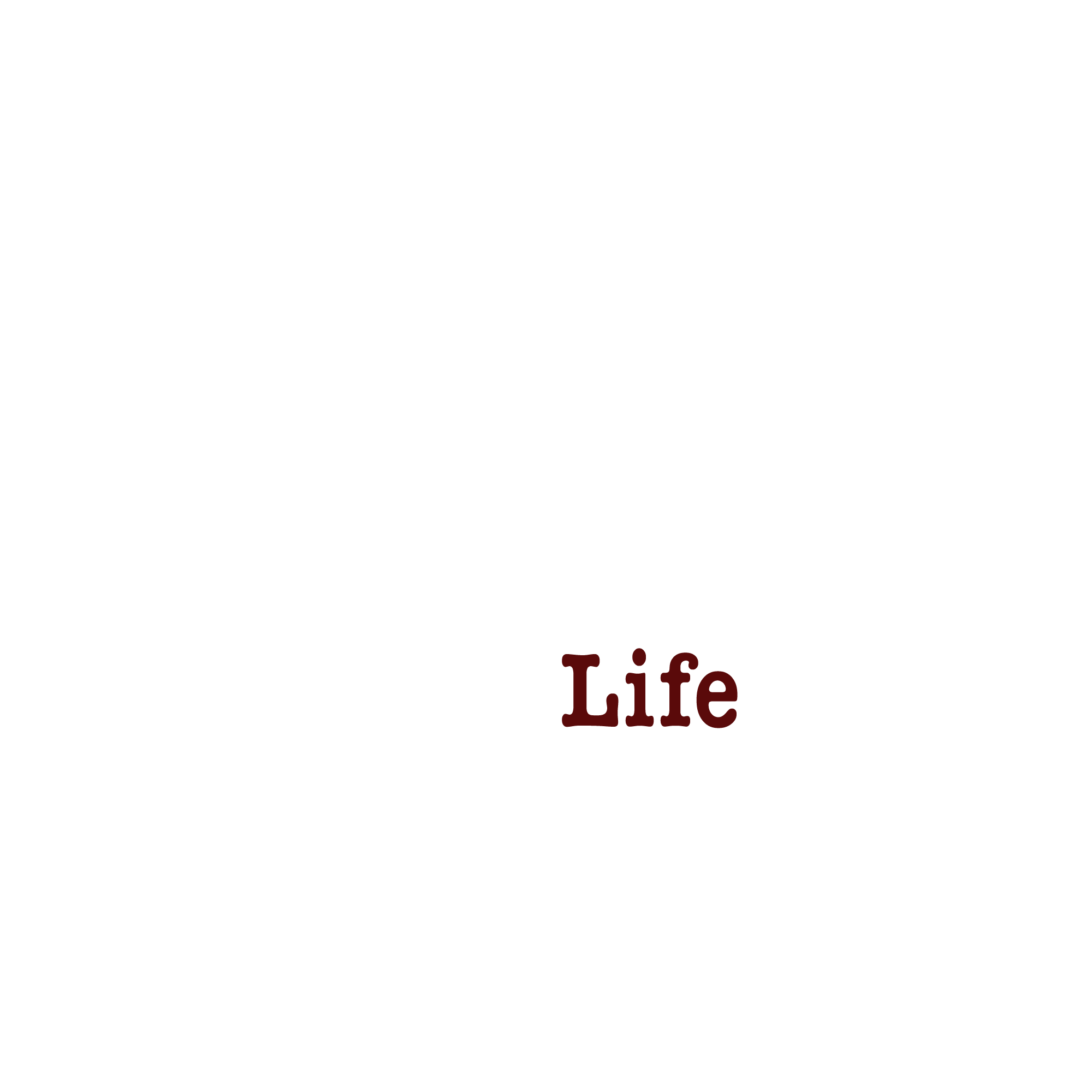 BBQ LIFE
